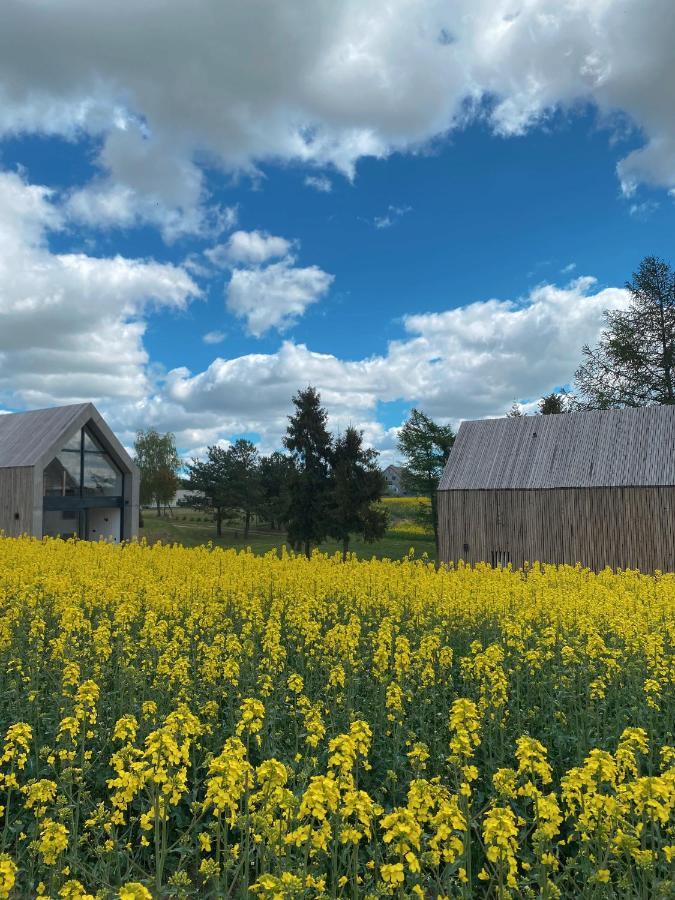 Domki Widok Na Staw Villa Kaliska Koscierskie Dış mekan fotoğraf